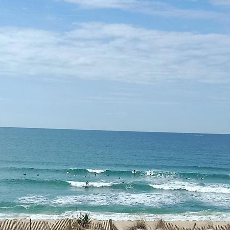 L'Ocean&Dunes Vue A 180° En Bord De Plage ลากาโน ภายนอก รูปภาพ