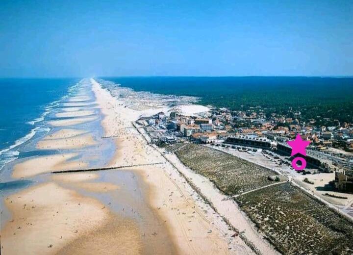 L'Ocean&Dunes Vue A 180° En Bord De Plage ลากาโน ภายนอก รูปภาพ
