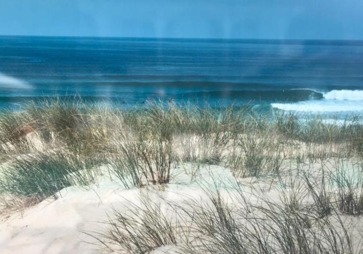 L'Ocean&Dunes Vue A 180° En Bord De Plage ลากาโน ภายนอก รูปภาพ